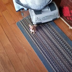 Meet your Posher, Taylor